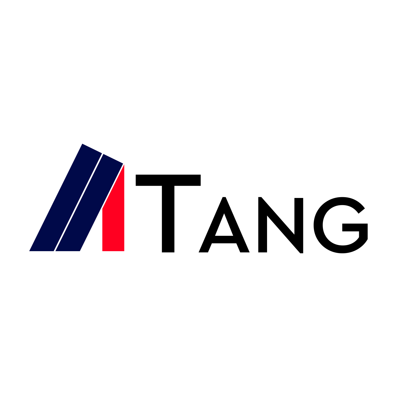 TANG GROUP LLC